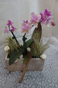 jardiniere-orchidées